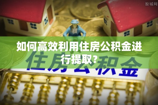 新邱如何高效利用住房公积金进行提取？