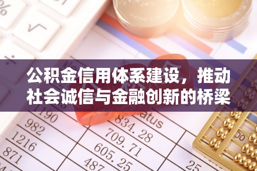 新邱公积金信用体系建设，推动社会诚信与金融创新的桥梁