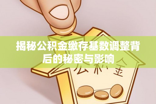 新邱揭秘公积金缴存基数调整背后的秘密与影响
