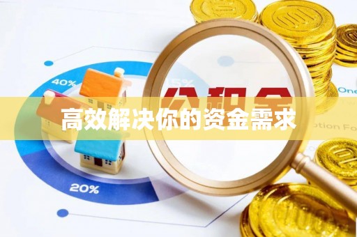 新邱高效解决你的资金需求
