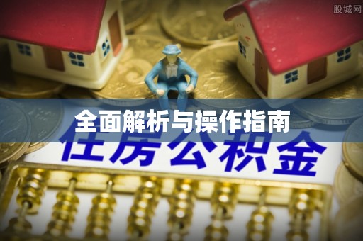 新邱全面解析与操作指南
