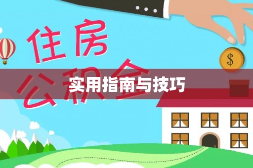 新邱实用指南与技巧
