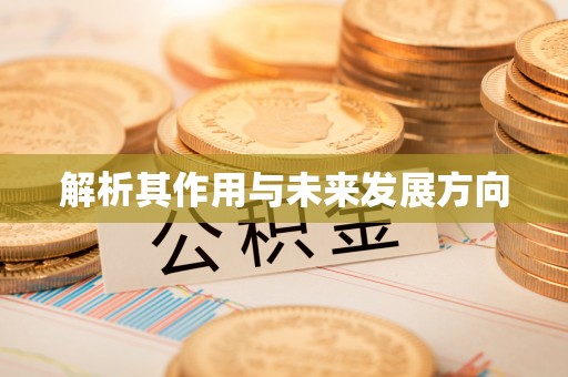 新邱解析其作用与未来发展方向