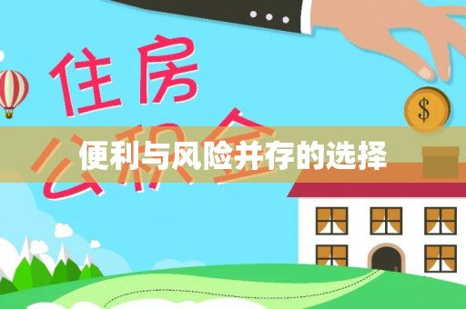 新邱便利与风险并存的选择