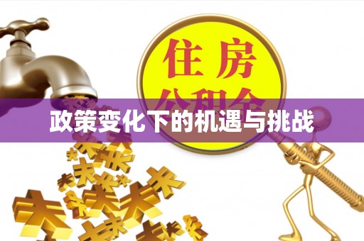 新邱政策变化下的机遇与挑战