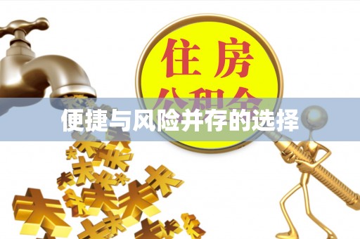 新邱便捷与风险并存的选择