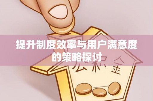 新邱提升制度效率与用户满意度的策略探讨