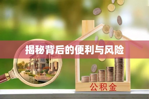 新邱揭秘背后的便利与风险