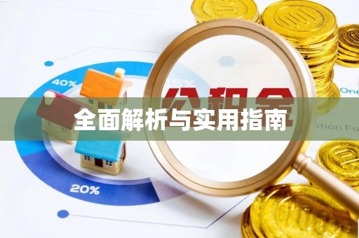 新邱全面解析与实用指南
